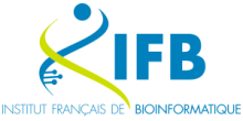 Logo IFB