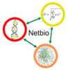 Logo NETBIO