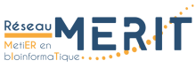 Logo MERIT